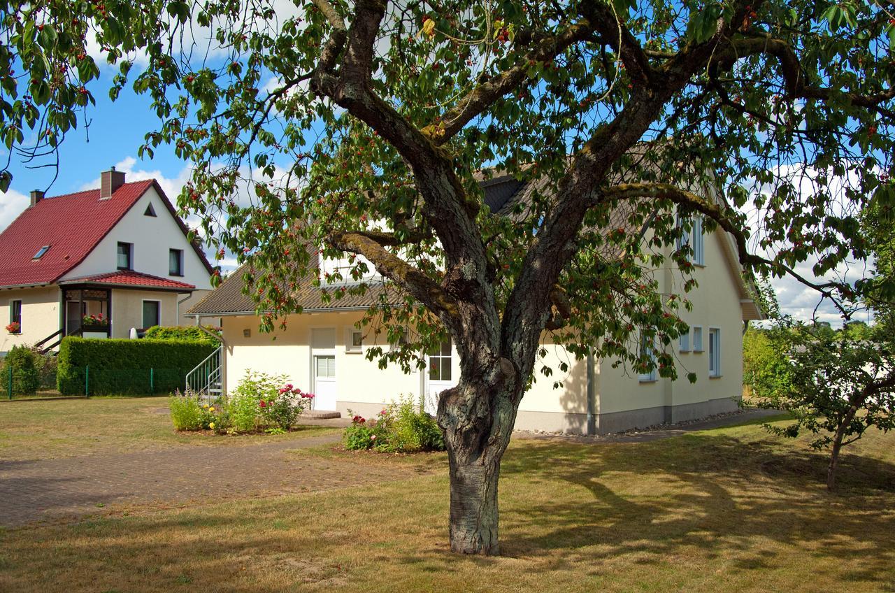 Sonnenhus - Ruegen Apartment Sellin  ภายนอก รูปภาพ