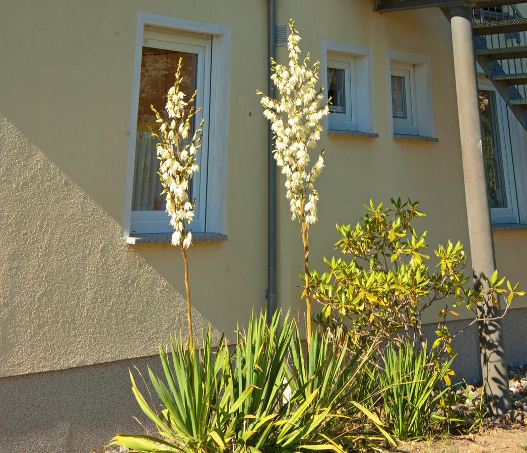 Sonnenhus - Ruegen Apartment Sellin  ภายนอก รูปภาพ